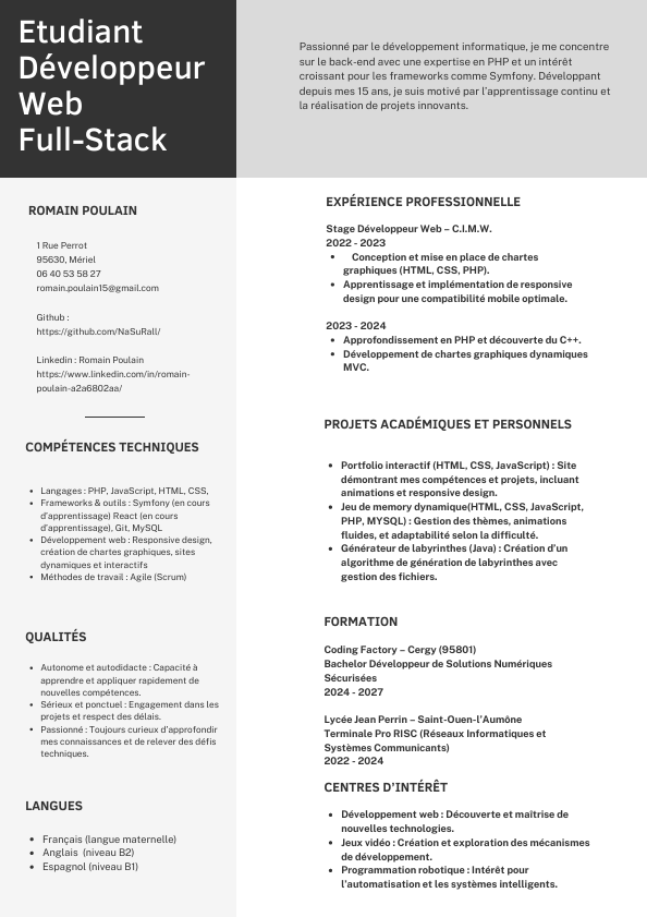 Aperçu de mon CV